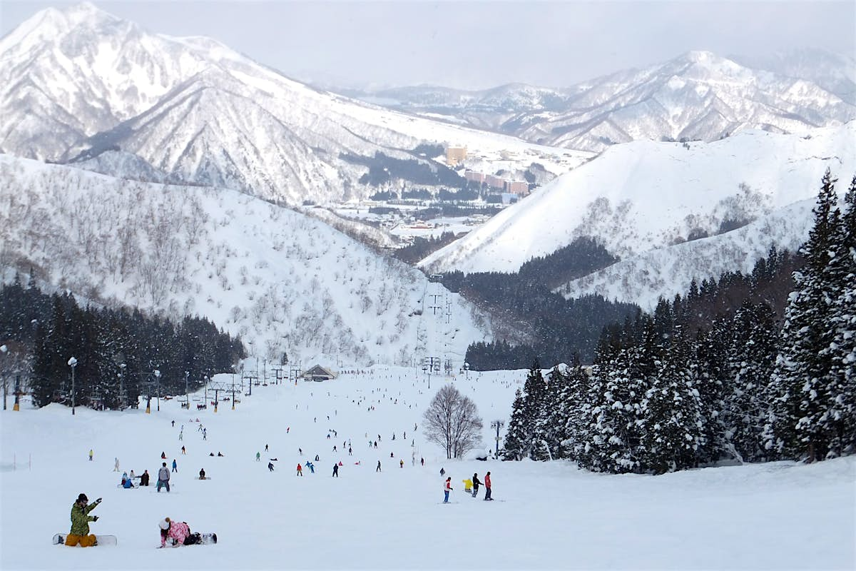 Record low snowfall forces Japan's ski resorts to close Lonely